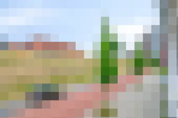Schansdijk 7 Tholen thumbnail 23