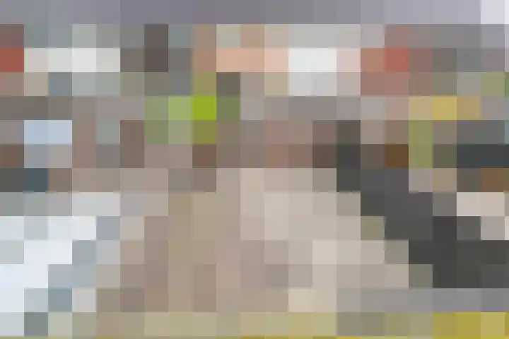 Schansdijk 7 Tholen thumbnail 26