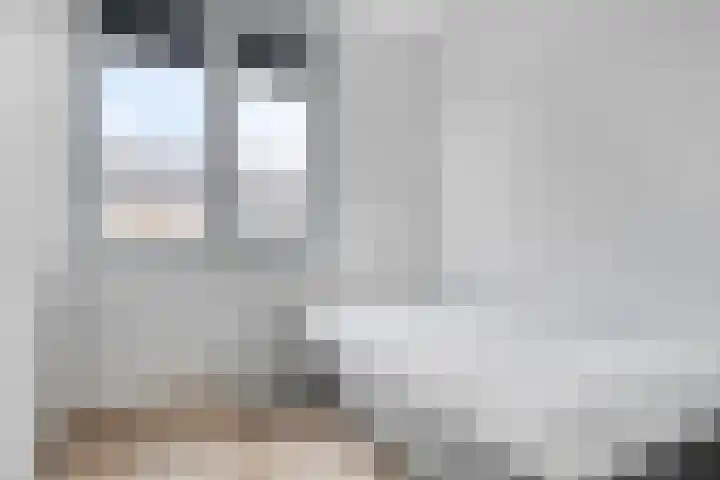 Schansdijk 7 Tholen thumbnail 27