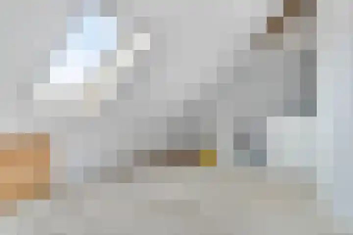 Schansdijk 7 Tholen thumbnail 31