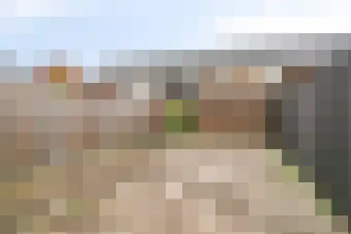 Schansdijk 7 Tholen thumbnail 38