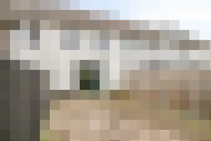 Schansdijk 7 Tholen thumbnail 4