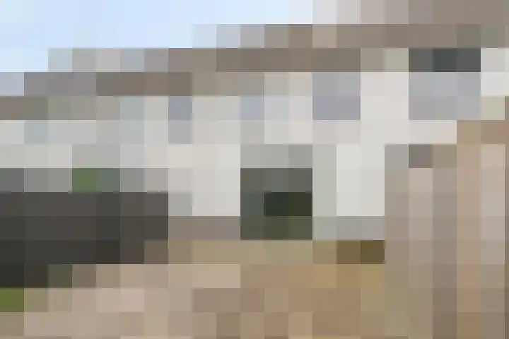 Schansdijk 7 Tholen thumbnail 41