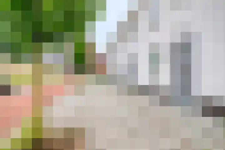 Schansdijk 7 Tholen thumbnail 45