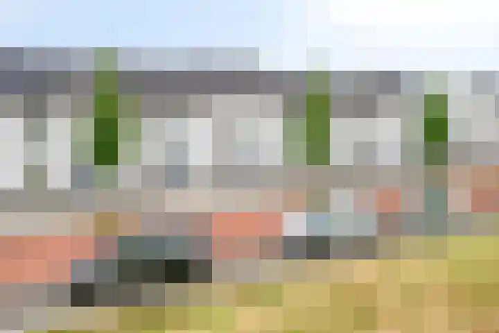 Schansdijk 7 Tholen thumbnail 47