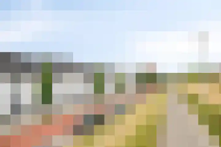 Schansdijk 7 Tholen thumbnail 48