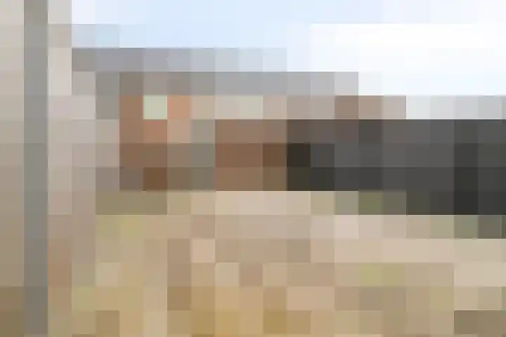 Schansdijk 7 Tholen thumbnail 5