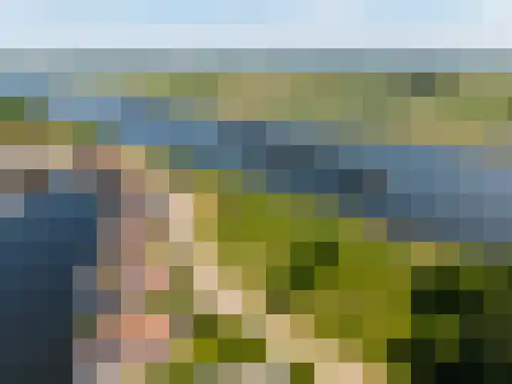 Schansdijk 7 Tholen thumbnail 53