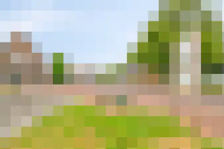 Schansdijk 7 Tholen thumbnail 55