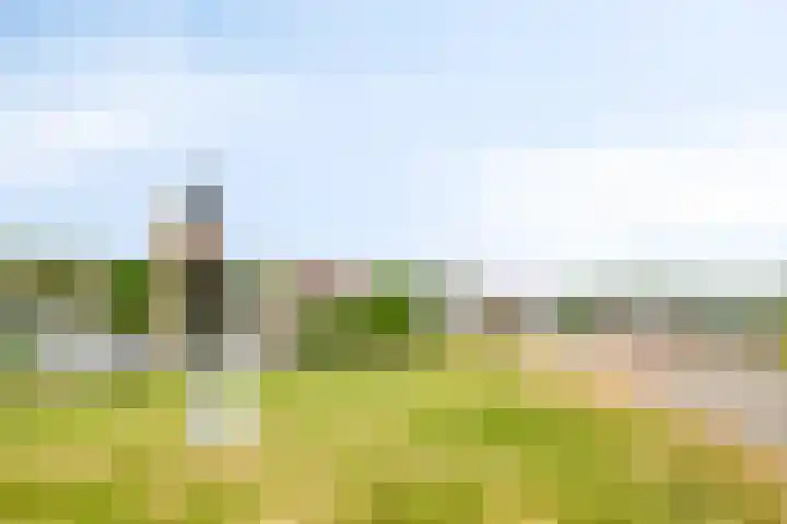 Schansdijk 7 Tholen thumbnail 56