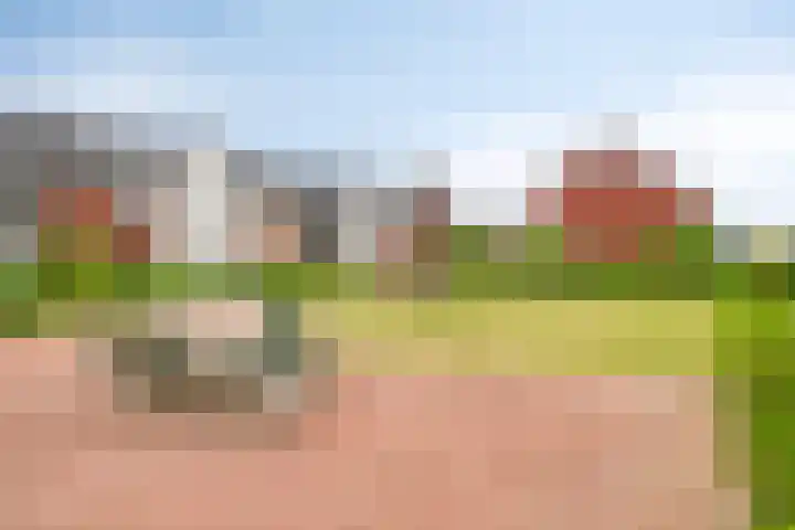 Schansdijk 7 Tholen thumbnail 59