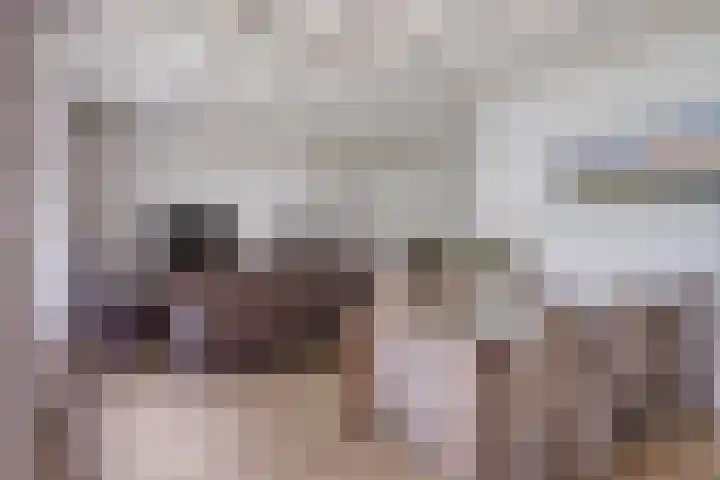 Schansweg 4 Uden thumbnail 10