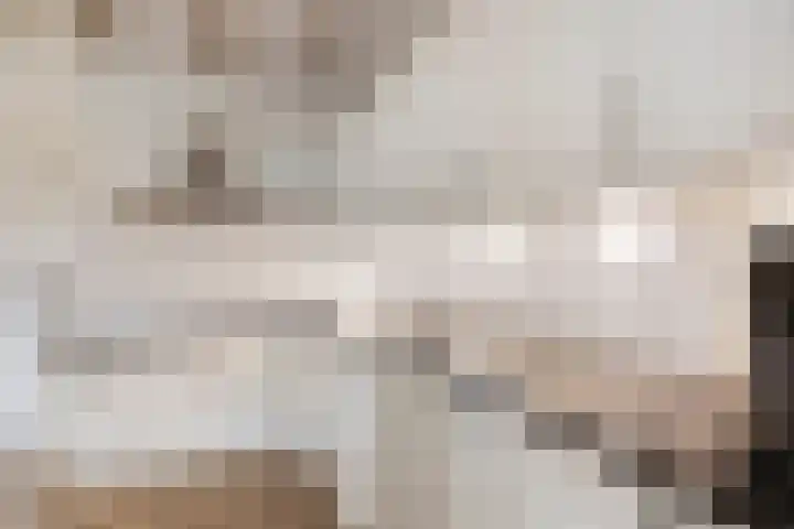 Schansweg 4 Uden thumbnail 12
