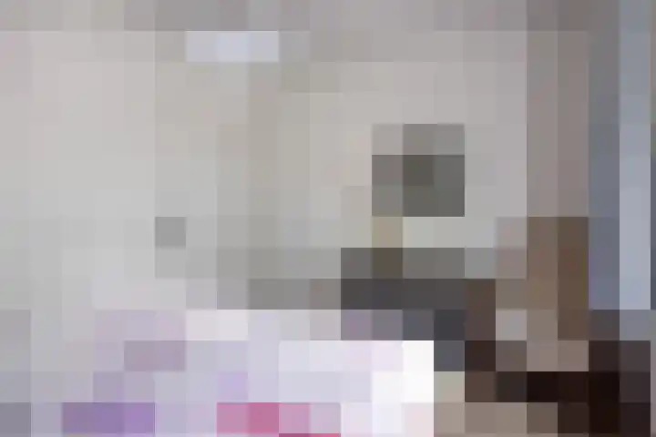 Schansweg 4 Uden thumbnail 17