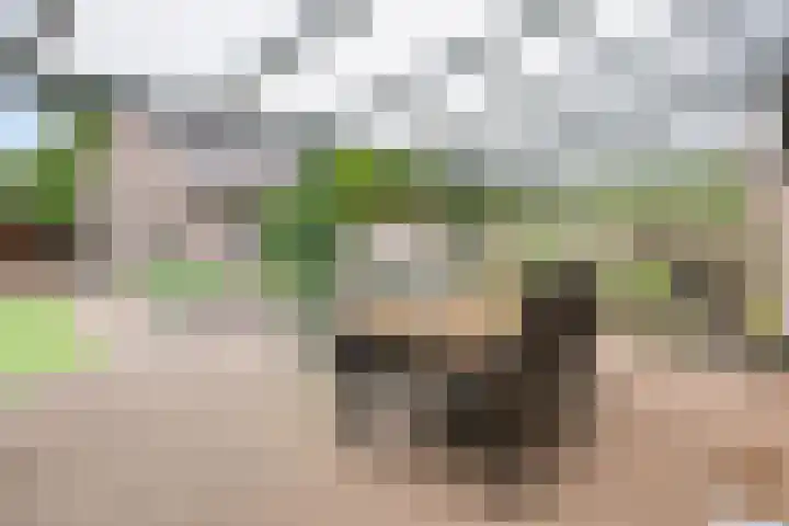 Schansweg 4 Uden thumbnail 33