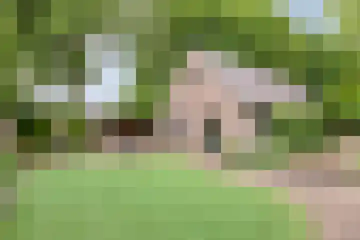 Schansweg 4 Uden thumbnail 35