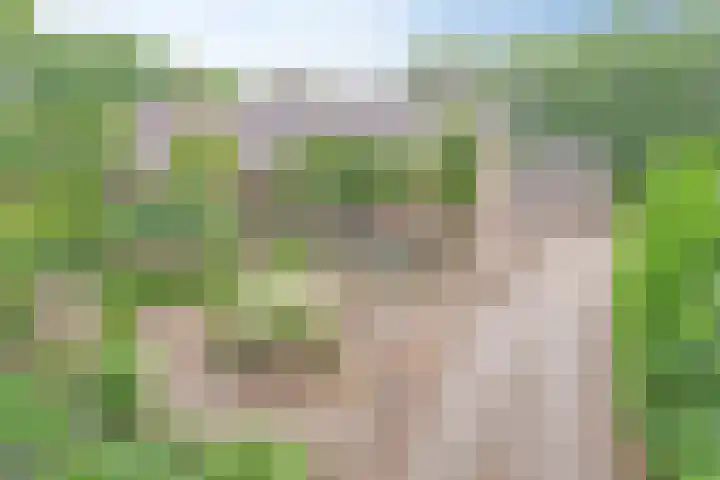 Schansweg 4 Uden thumbnail 54