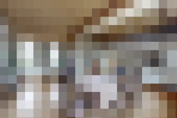 Schansweg 49 Klundert thumbnail 19