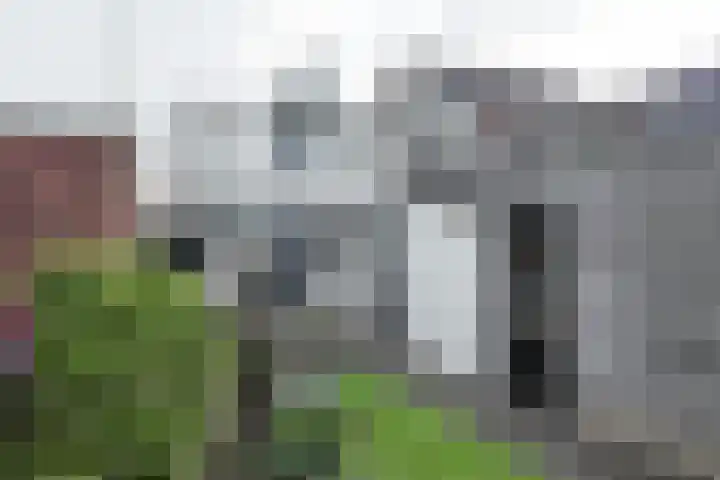 Schansweg 49 Klundert thumbnail 40