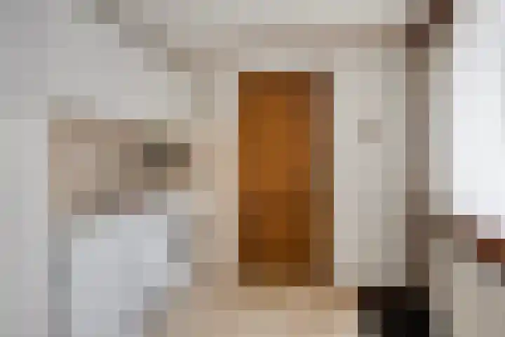 Schapendijk 22 Almelo thumbnail 11