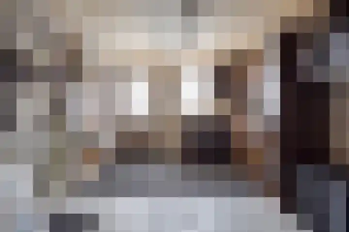 Schapendijk 22 Almelo thumbnail 13
