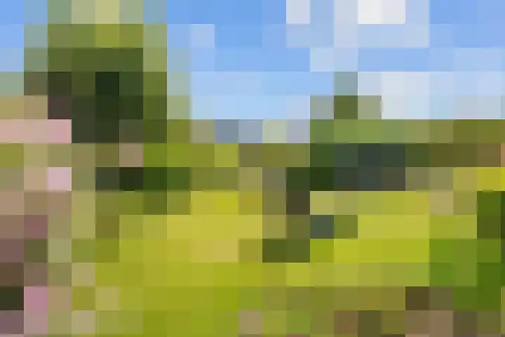 Schapendijk 22 Almelo thumbnail 20