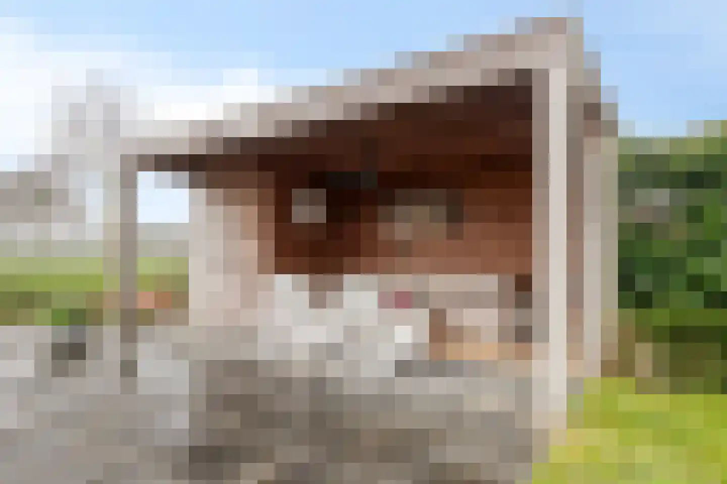 Schapendijk 22 Almelo thumbnail 28