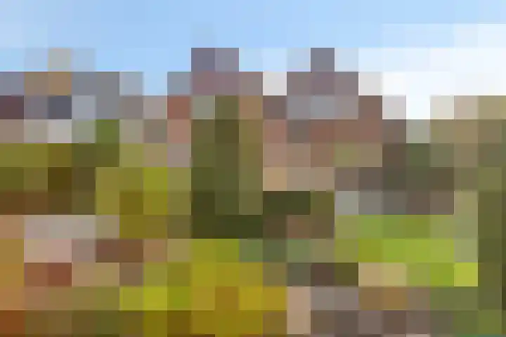 Schapendijk 22 Almelo thumbnail 29