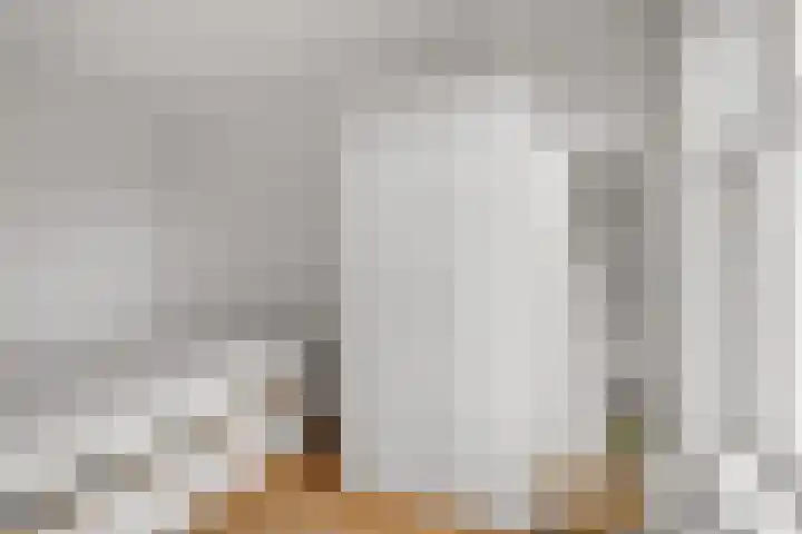Schapendijk 22 Almelo thumbnail 30
