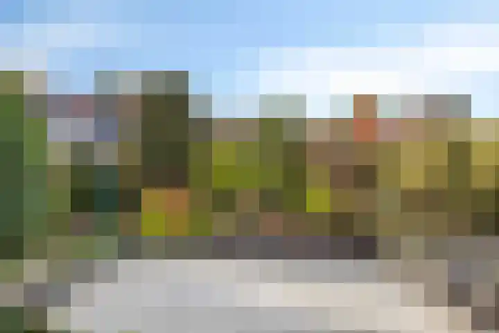 Schapendijk 22 Almelo thumbnail 30
