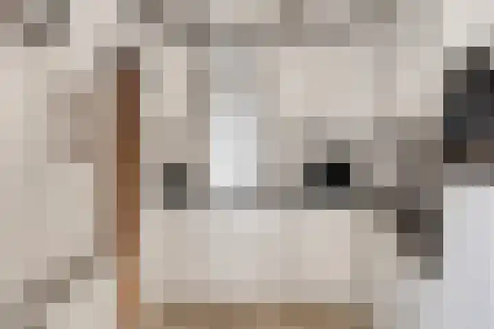 Schapendijk 22 Almelo thumbnail 9