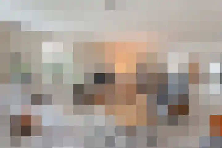 Schapendijk 6 a Den Ham thumbnail 11