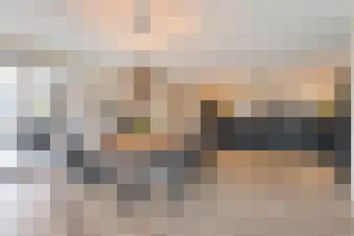 Schapendijk 6 a Den Ham thumbnail 15