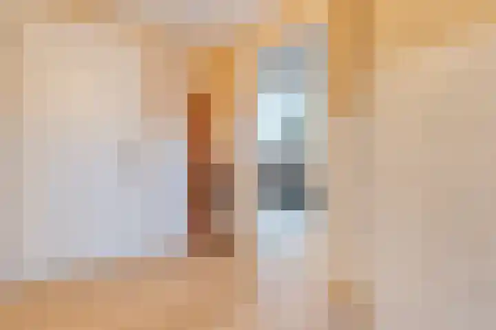 Schapendijk 6 a Den Ham thumbnail 27