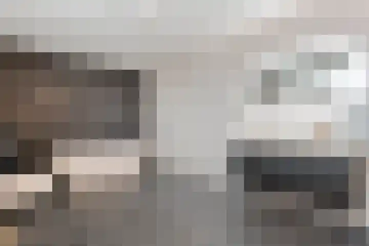 Schapendijk 6 a Den Ham thumbnail 31