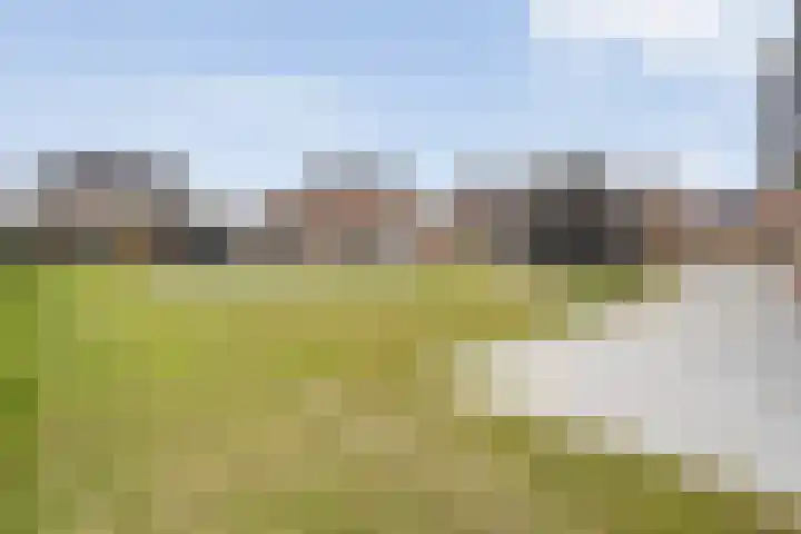 Schapendijk 6 a Den Ham thumbnail 56