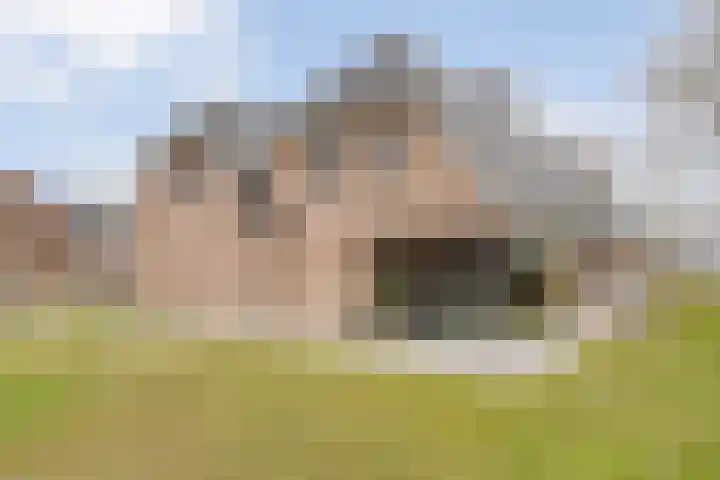 Schapendijk 6 a Den Ham thumbnail 57