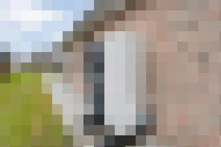 Schapendijk 6 a Den Ham thumbnail 58