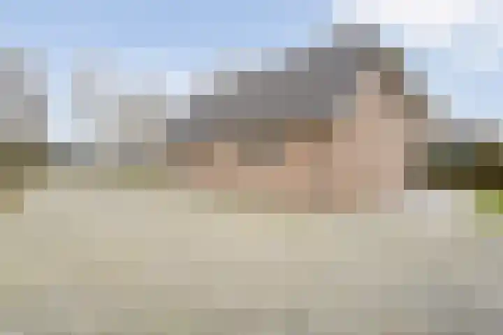Schapendijk 6 a Den Ham thumbnail 64