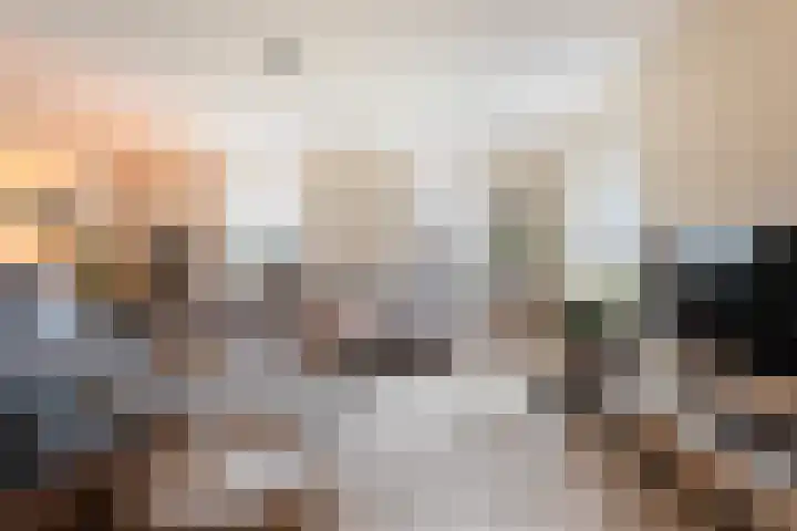 Schapendijk 6 a Den Ham thumbnail 8