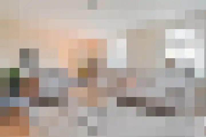 Schapendijk 6 a Den Ham thumbnail 9