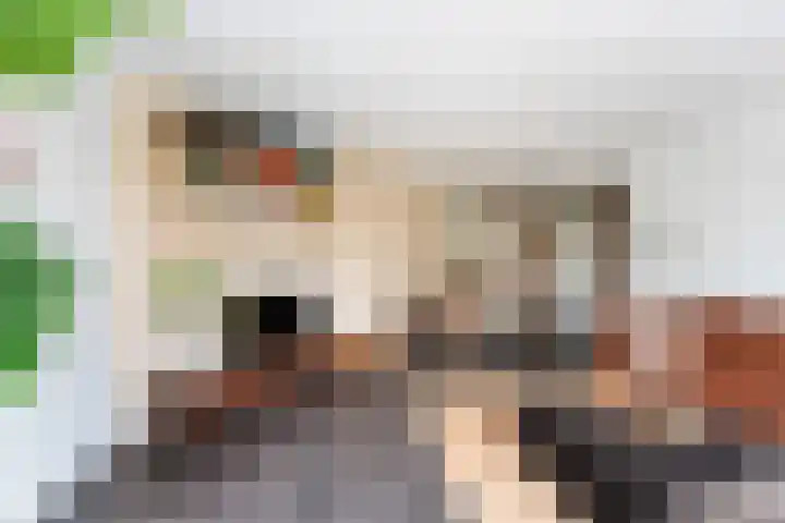 Schapendreef 141 Rotterdam thumbnail 15