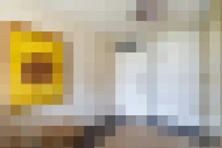 Schapendreef 141 Rotterdam thumbnail 27