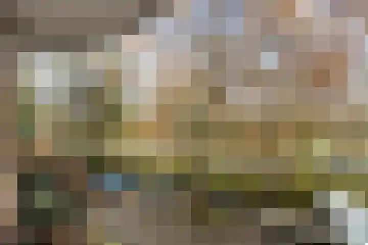 Schapendreef 141 Rotterdam thumbnail 33