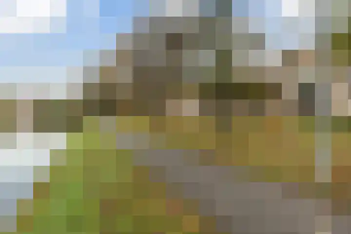 Schapendreef 141 Rotterdam thumbnail 34
