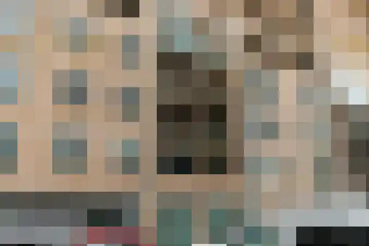 Schapendreef 141 Rotterdam thumbnail 36