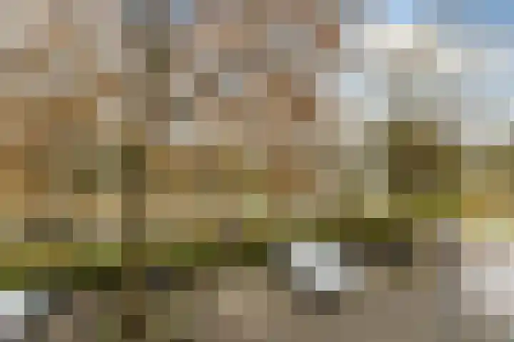 Schapendreef 141 Rotterdam thumbnail 39