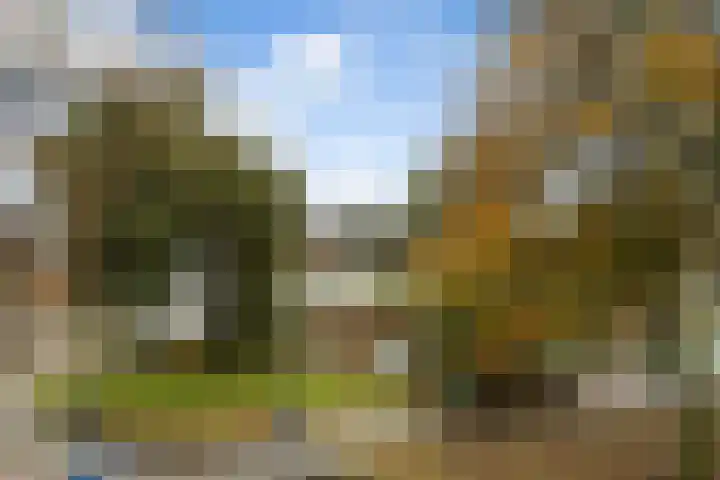 Schapendreef 141 Rotterdam thumbnail 40