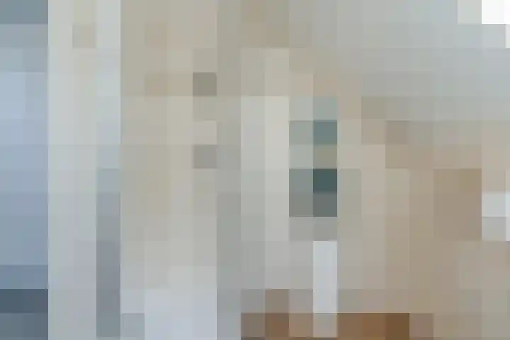 Schapendreef 15 Hoogerheide thumbnail 33
