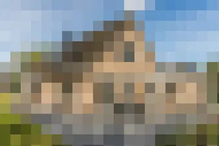 Schapendreef 15 Hoogerheide thumbnail 37